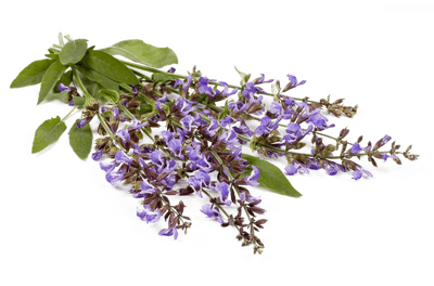 1 (3)_05076b0f3802.png